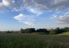 Slika dana