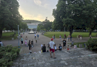Slika dana