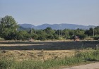 Slika dana