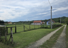Slika dana