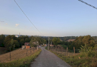 Slika dana