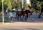 Slika dana