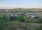 Slika dana