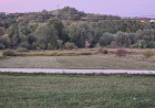 Slika dana