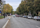 Slika dana