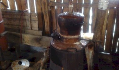 Veseli stroj iz 1949 godine