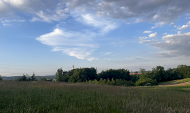 Slika dana