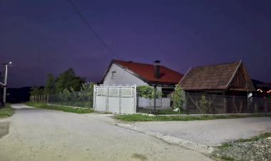 Slika dana