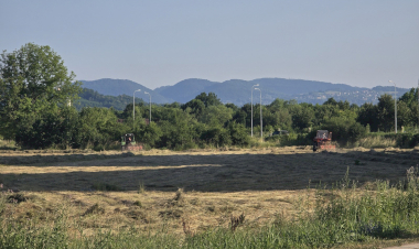 Slika dana
