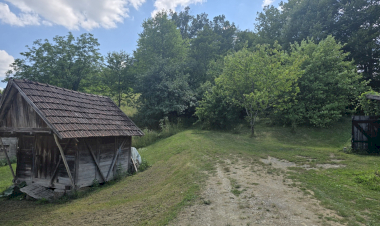 Slika dana