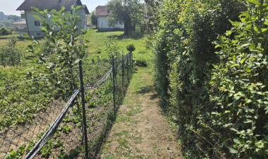 Slika dana