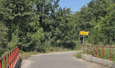 Slika dana