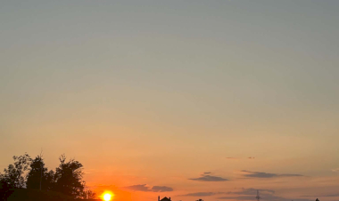 Slika dana