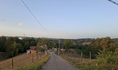 Slika dana
