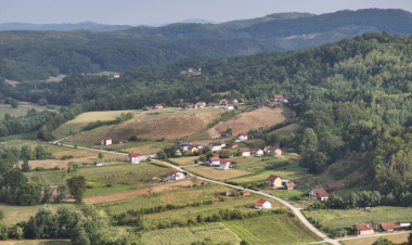 Slika dana