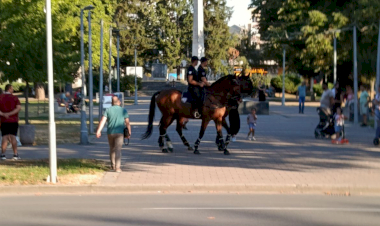 Slika dana