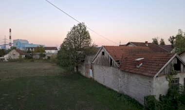 Slika dana