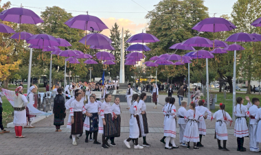 Slika dana