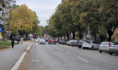 Slika dana