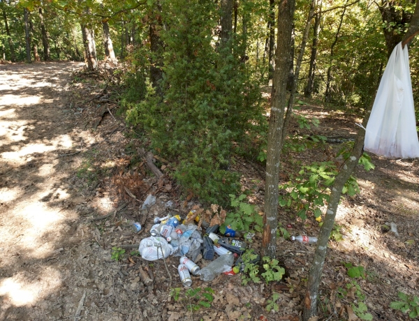 Smeće u našim šumama