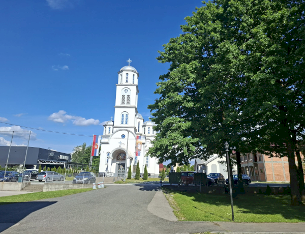 Slika dana