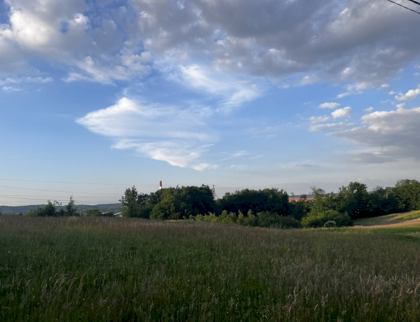 Slika dana