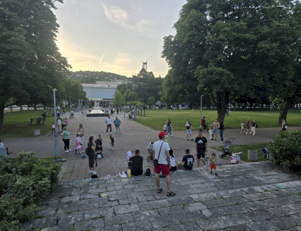 Slika dana