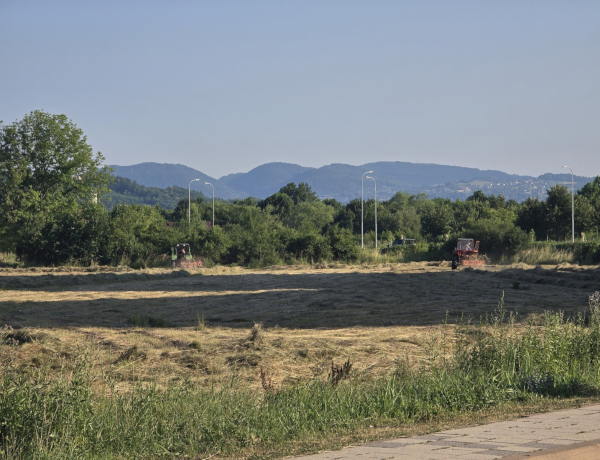 Slika dana