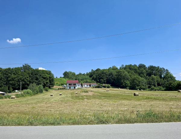 Slika dana