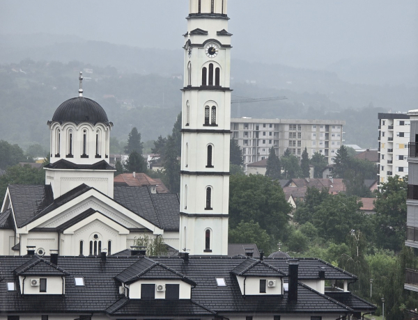 Slika dana