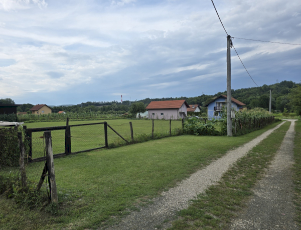 Slika dana