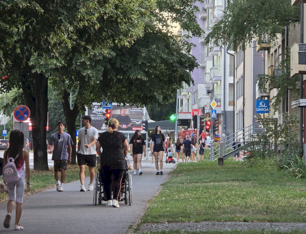 Slika dana