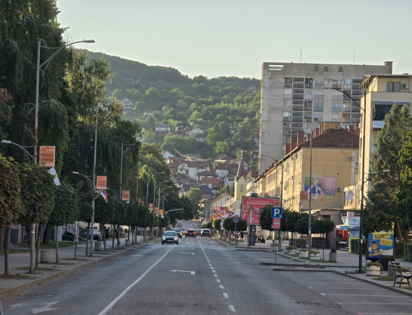 Slika dana
