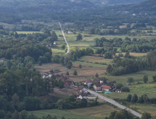 Slika dana
