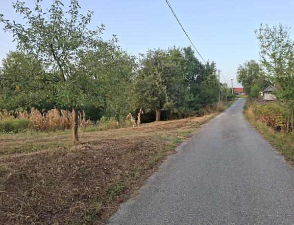 Slika dana