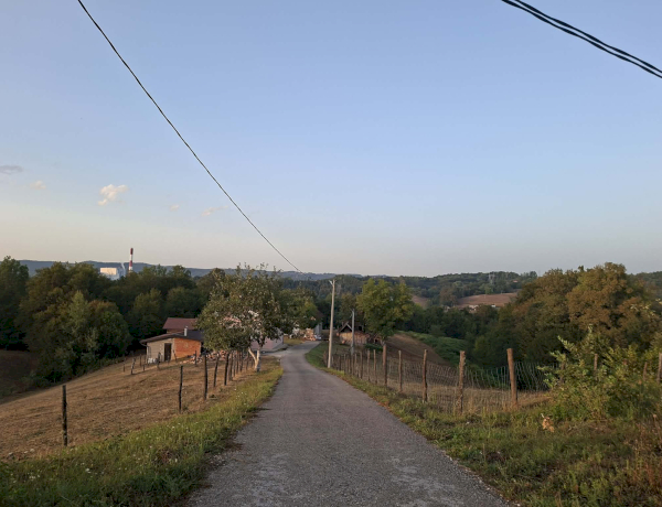 Slika dana