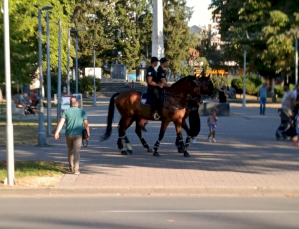 Slika dana