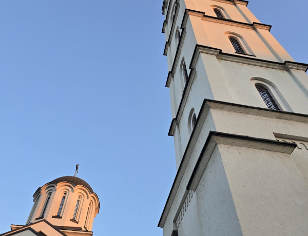Slika dana