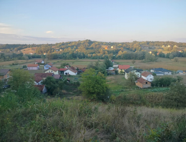 Slika dana
