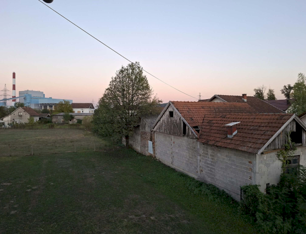 Slika dana
