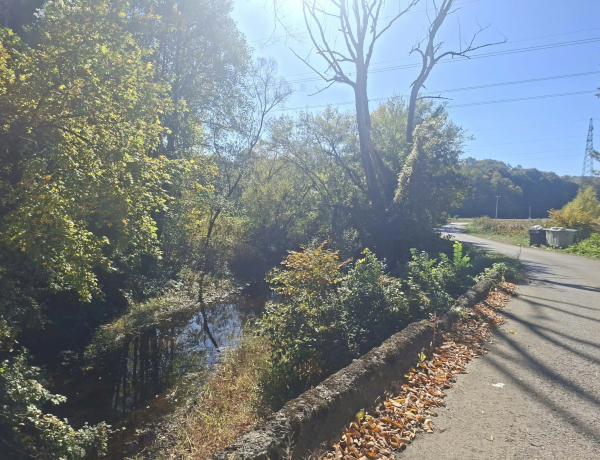 Slika dana