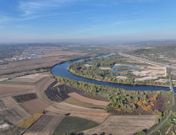 Slika dana