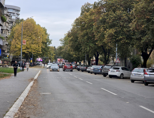 Slika dana